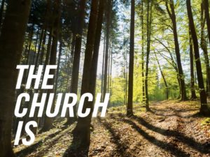 The Church Is… Restored. Made New.