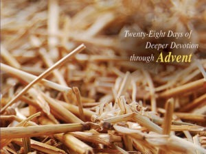 Finding the Messiah – Shepherding Resource