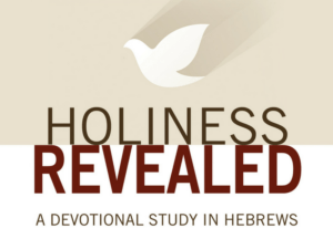 Holiness Revealed – Shepherding Resource