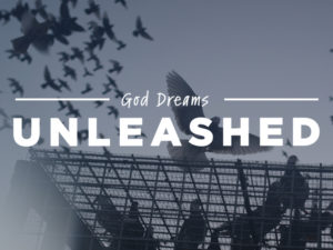 Unleashed