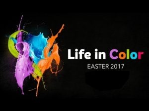 Life in Color